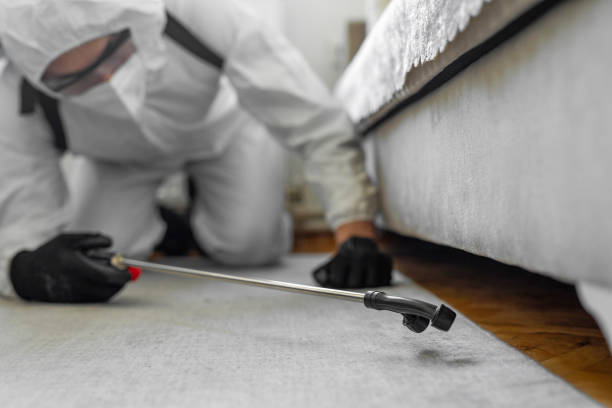 Professional Pest Control technician working in Kellogg, ID