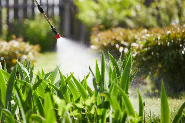 24/7 Emergency Pest Control experts in Kellogg, ID