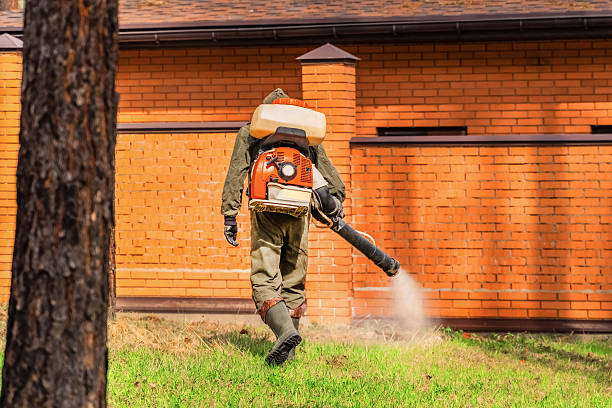 Top rated local Pest Control specialists in Kellogg, ID